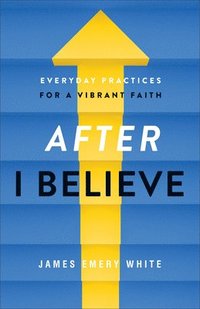 bokomslag After &quot;I Believe&quot;  Everyday Practices for a Vibrant Faith