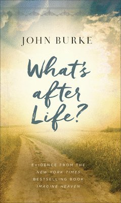 What's after Life? 1