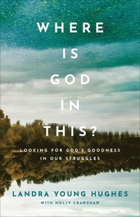 bokomslag Where Is God in This?  Looking for God`s Goodness in Our Struggles