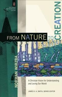 bokomslag From Nature to Creation  A Christian Vision for Understanding and Loving Our World