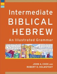 bokomslag Intermediate Biblical Hebrew