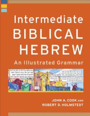 bokomslag Intermediate Biblical Hebrew