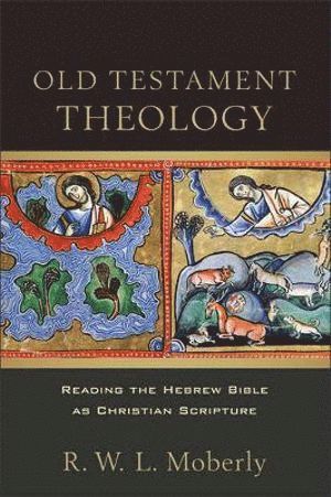 bokomslag Old Testament Theology - Reading the Hebrew Bible as Christian Scripture