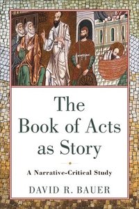bokomslag The Book of Acts as Story  A NarrativeCritical Study