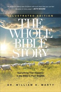 bokomslag The Whole Bible Story  Everything That Happens in the Bible in Plain English