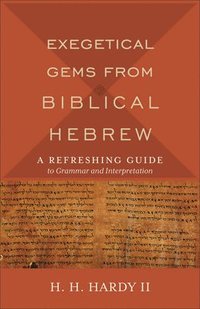 bokomslag Exegetical Gems from Biblical Hebrew