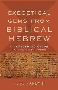 bokomslag Exegetical Gems from Biblical Hebrew