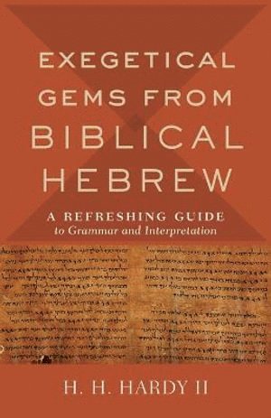 bokomslag Exegetical Gems from Biblical Hebrew