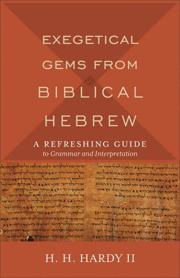 Exegetical Gems from Biblical Hebrew 1