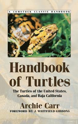 bokomslag Handbook Of Turtles