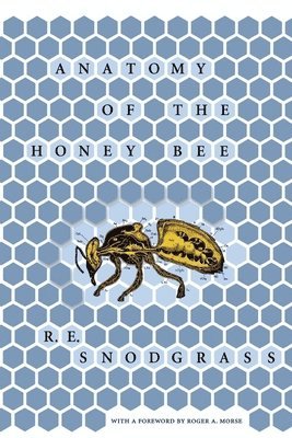 R. E. Snodgrass - Anatomy of the Honey Bee, Inbunden