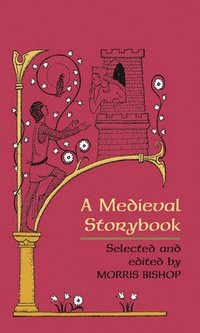 bokomslag Medieval Storybook
