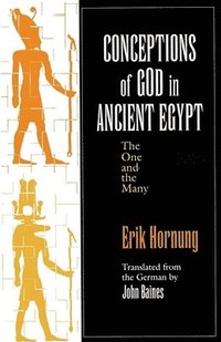 bokomslag Conceptions of God in Ancient Egypt
