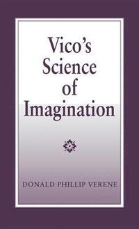 bokomslag Science of Imagination