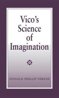 bokomslag Vico's Science of Imagination