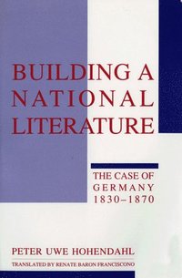 bokomslag Building A National Literature
