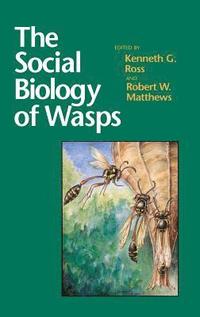 bokomslag Social Biology Of Wasps
