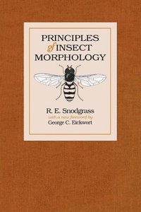 bokomslag Principles Of Insect Morphology