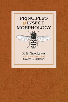 bokomslag Principles Of Insect Morphology