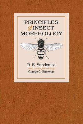 bokomslag Principles of Insect Morphology