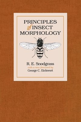 Principles Of Insect Morphology 1