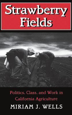 Miriam J. Wells - Strawberry Fields, Inbunden