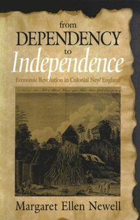 bokomslag From Dependency to Independence