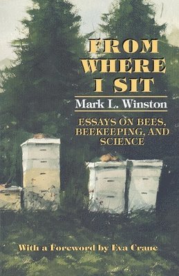Mark L. Winston - From Where I Sit, Inbunden