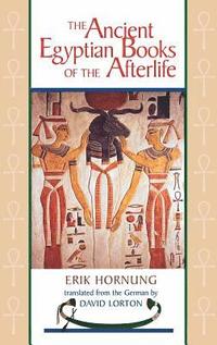 bokomslag The Ancient Egyptian Books of the Afterlife