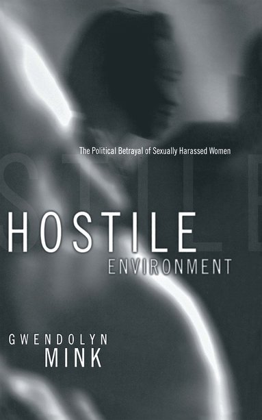 bokomslag Hostile Environment