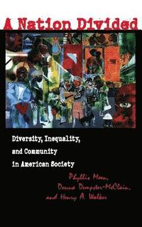 bokomslag A Nation Divided: Diversity, Inequality, and Community in America