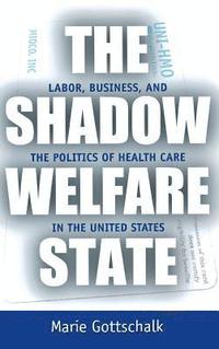 bokomslag The Shadow Welfare State