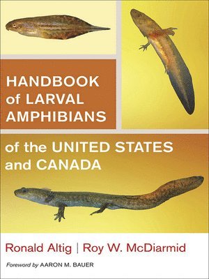 Handbook of Larval Amphibians of the United States and Canada 1