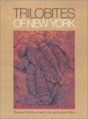 Trilobites of New York 1