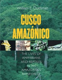 bokomslag Cusco Amaznico