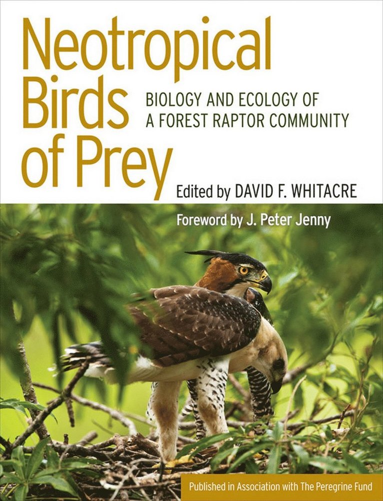David Whitacre - Neotropical Birds of Prey, Inbunden