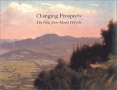Marianne Doezema - Changing Prospects, Inbunden