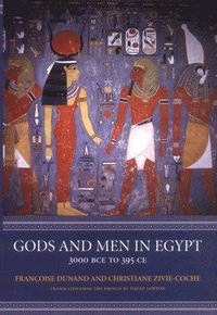 bokomslag Gods and Men in Egypt