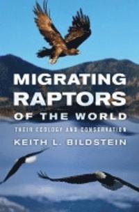 bokomslag Migrating Raptors of the World