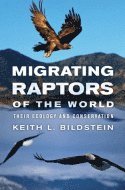 bokomslag Migrating Raptors of the World