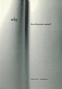 bokomslag Why Does Literature Matter?
