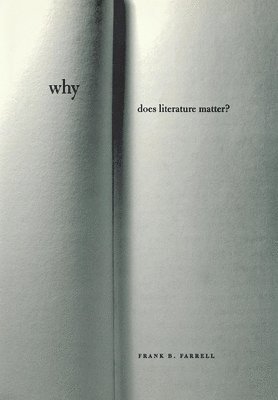 Why Does Literature Matter? 1