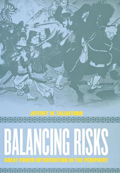 bokomslag Balancing Risks