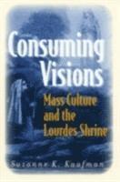 bokomslag Consuming Visions