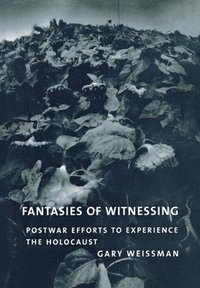 bokomslag Fantasies of Witnessing