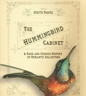 Judith Pascoe - Hummingbird Cabinet, Inbunden