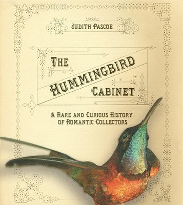 The Hummingbird Cabinet 1