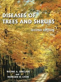 bokomslag Diseases of Trees and Shrubs