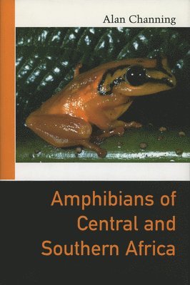 bokomslag Amphibians Of East Africa