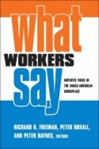 bokomslag What Workers Say